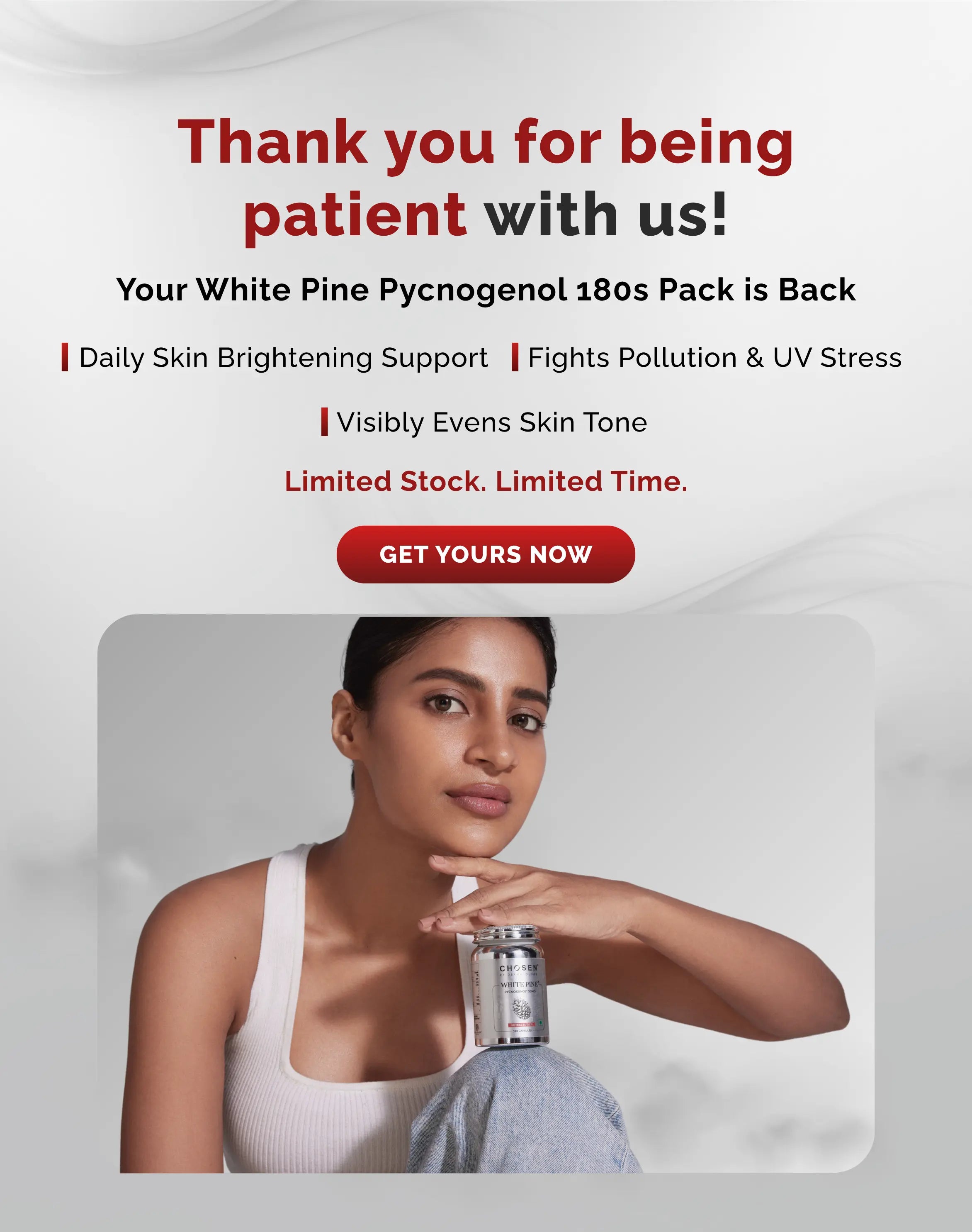White_Pine_Pycnogenol_180s_Back_in_Stock.webp