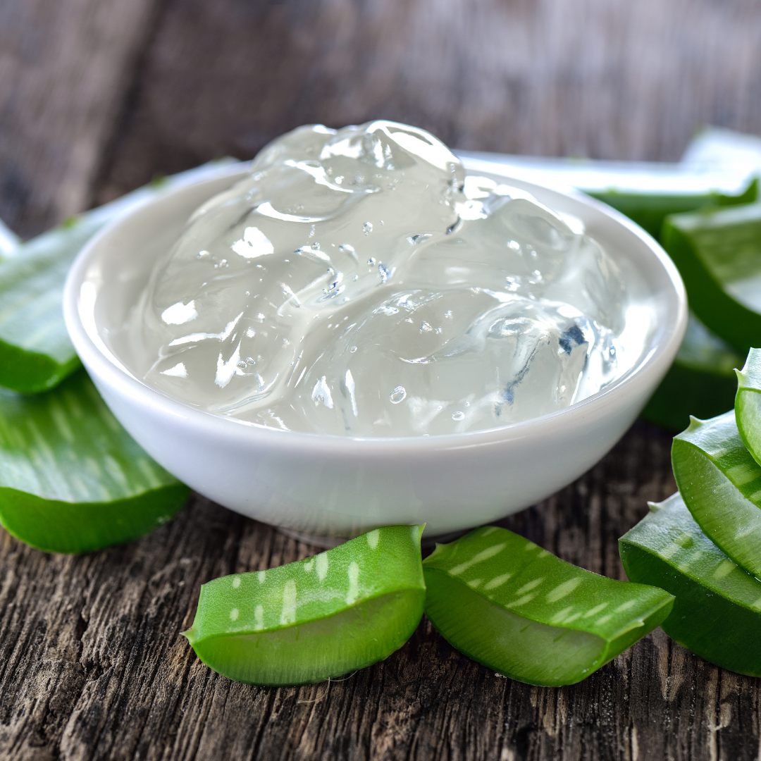 ALOE BARBADENSIS LEAF EXTRACT CHOSEN Store