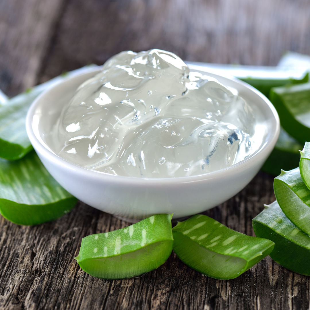foamie aloe vera shampoo Aloe Vera Shampoo Bar for Dry Hair | Vegan | Soap Free |FOAMIE
