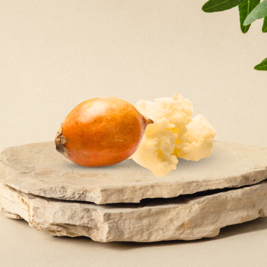 ASTROCARYUM TUCUMA SEED BUTTER