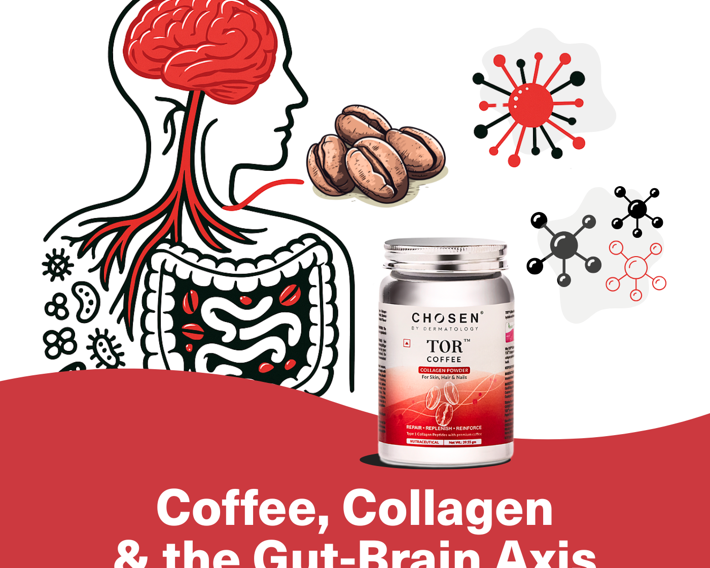 gut brain axis