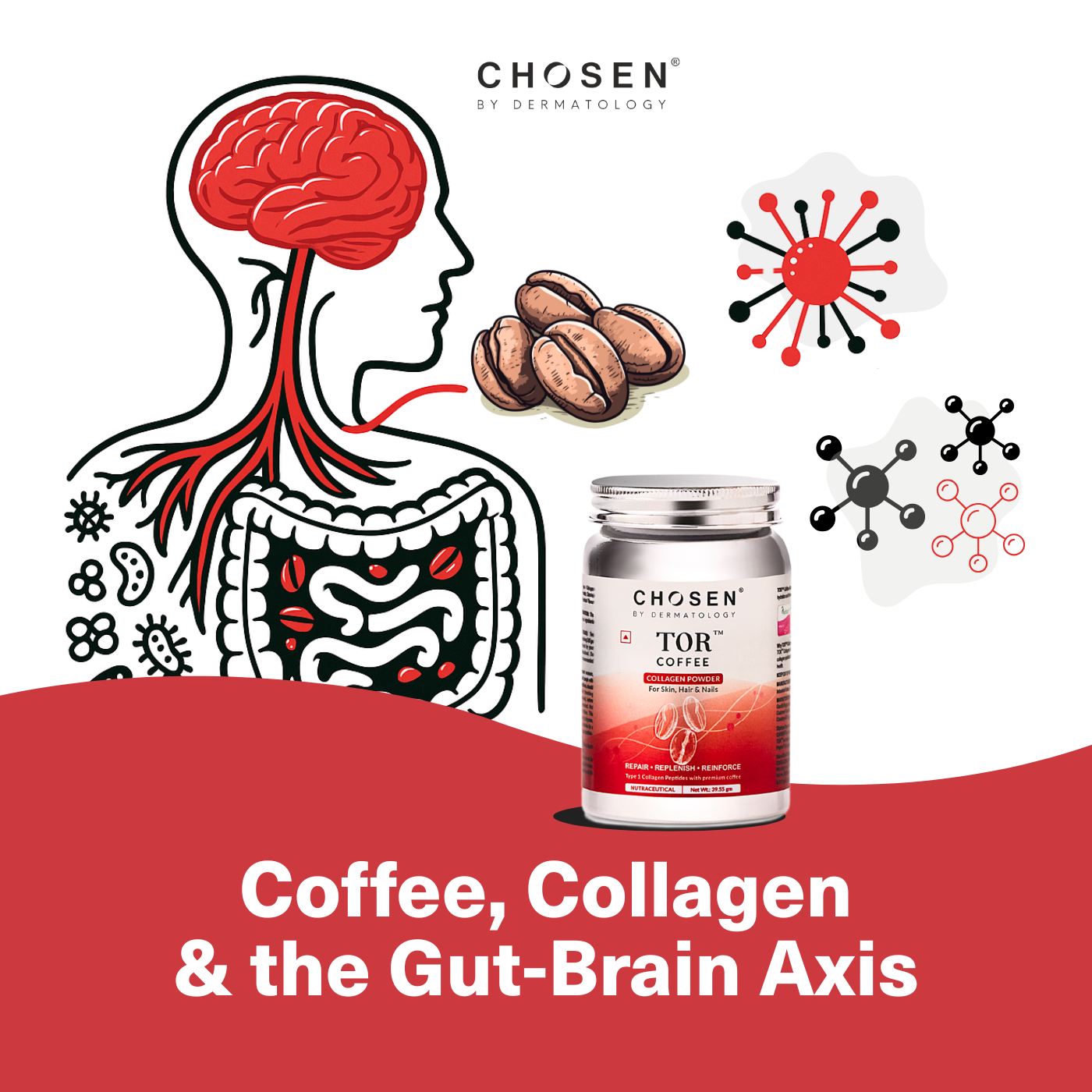 gut brain axis