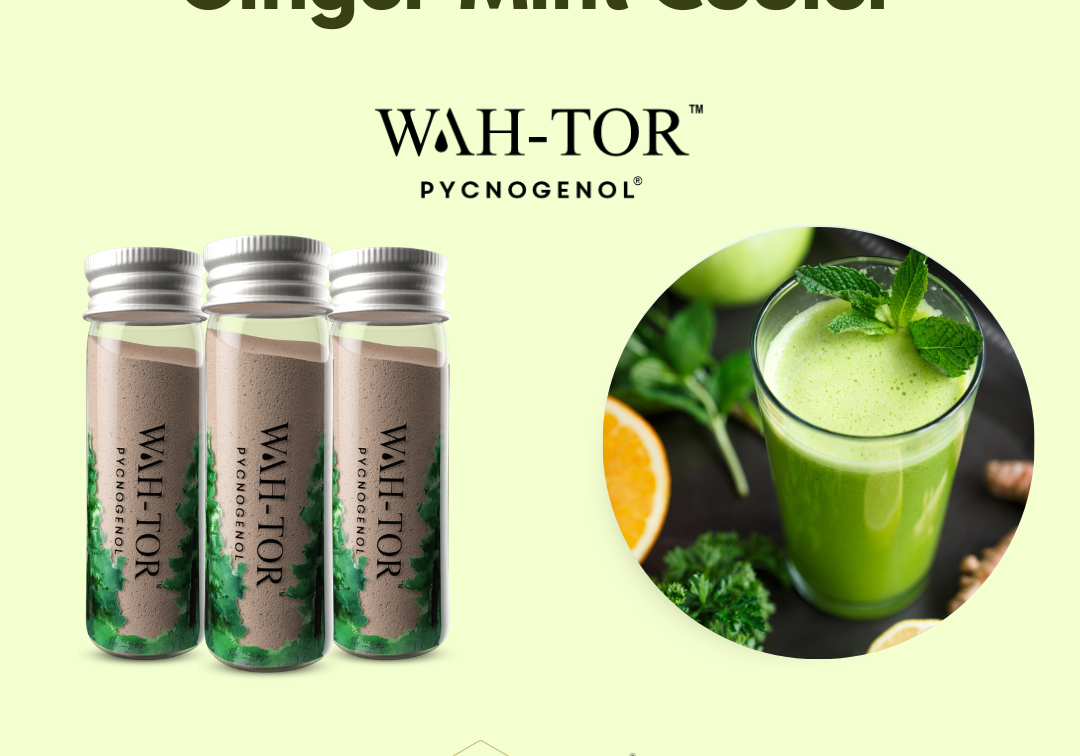 Ginger Mint Cooler with WAH-TOR™ Pycnogenol® Collagen Builder