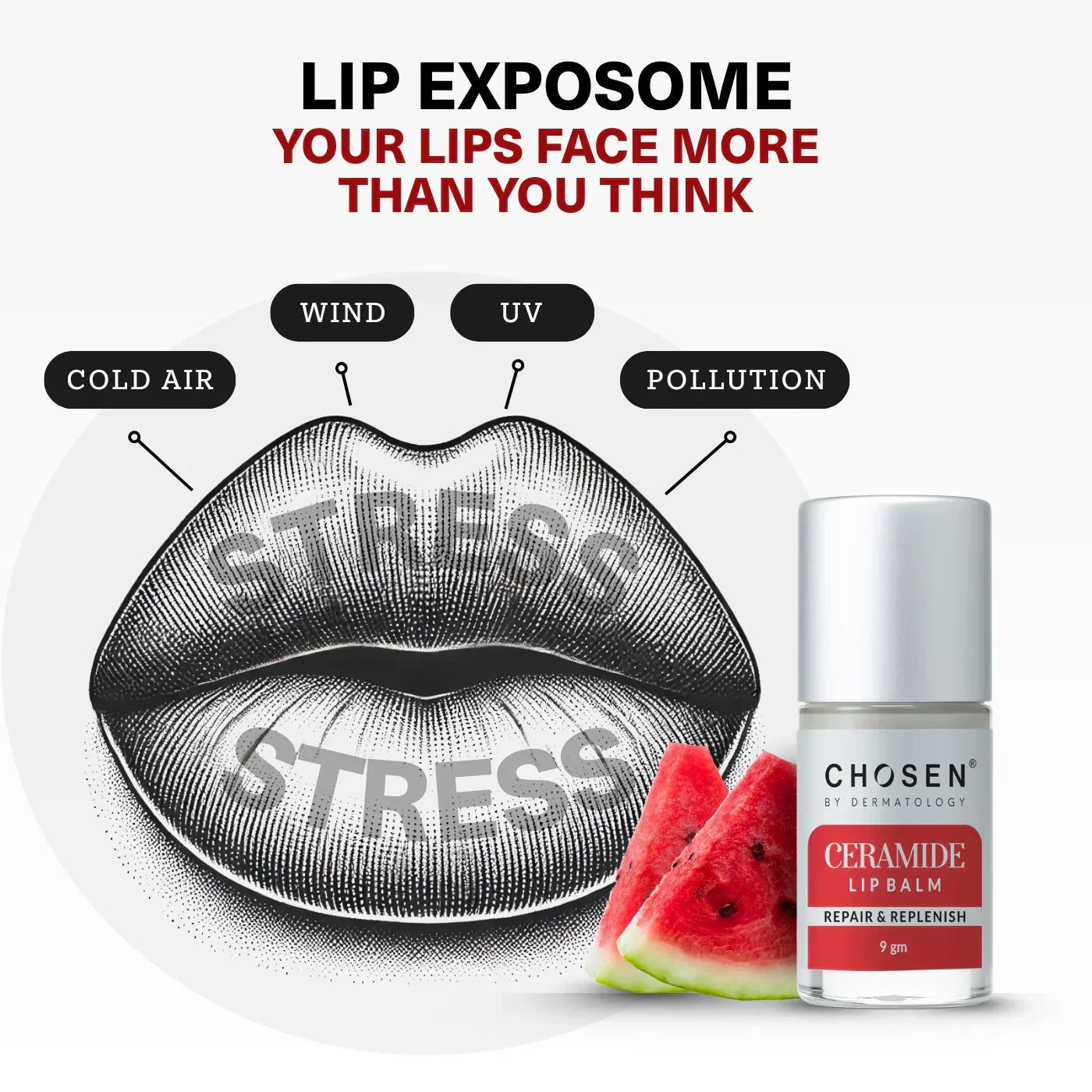 Lips with arrows showing exposome stressors like UV, wind, and pollution, protected by a transparent Ceramide Lip Balm shield.