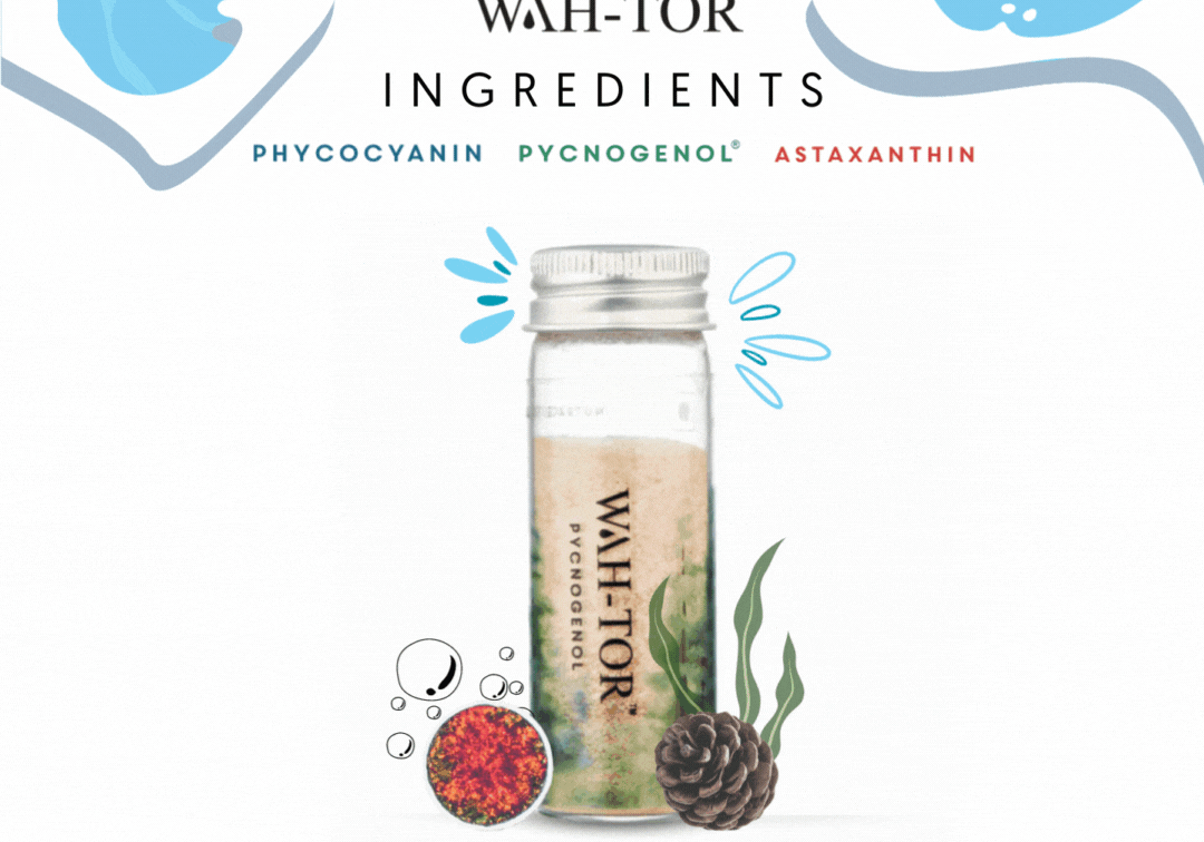 All about the ingredients in WAH-TOR plant based collagen builder