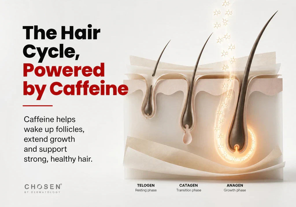 How Caffeine Helps Fight Hair Fall at Every Stage of the Hair Cycle