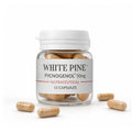whitepine-pycnogenol-50mg-15capsules