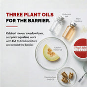 Three plant oils for the barrier - Kalahari Melon, Meadowfoam and Plant Squalane