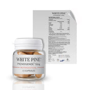 White Pine® - Pycnogenol®