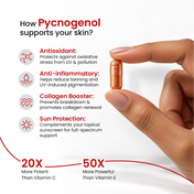 SAFESCREEN® SHEER + White Pine® Pycnogenol