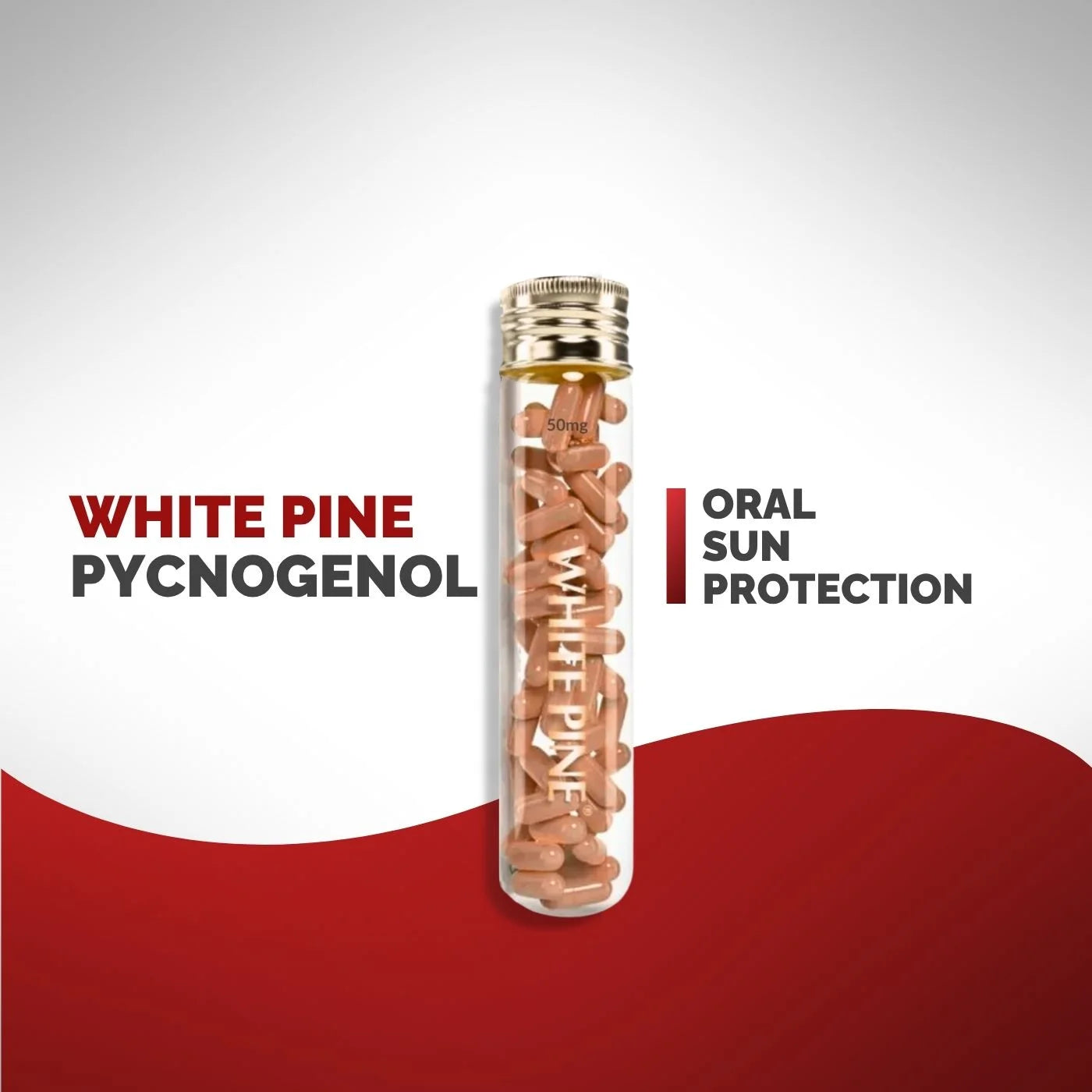 White-Pine-Pycnogenol-Chosen.webp