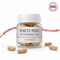whitepine-pycnogenol-50mg-15capsules