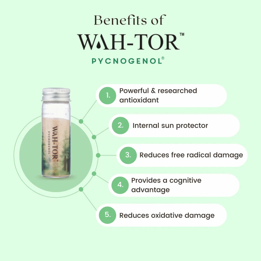 Key skin benefits of Pycnogenol supplement displayed visually