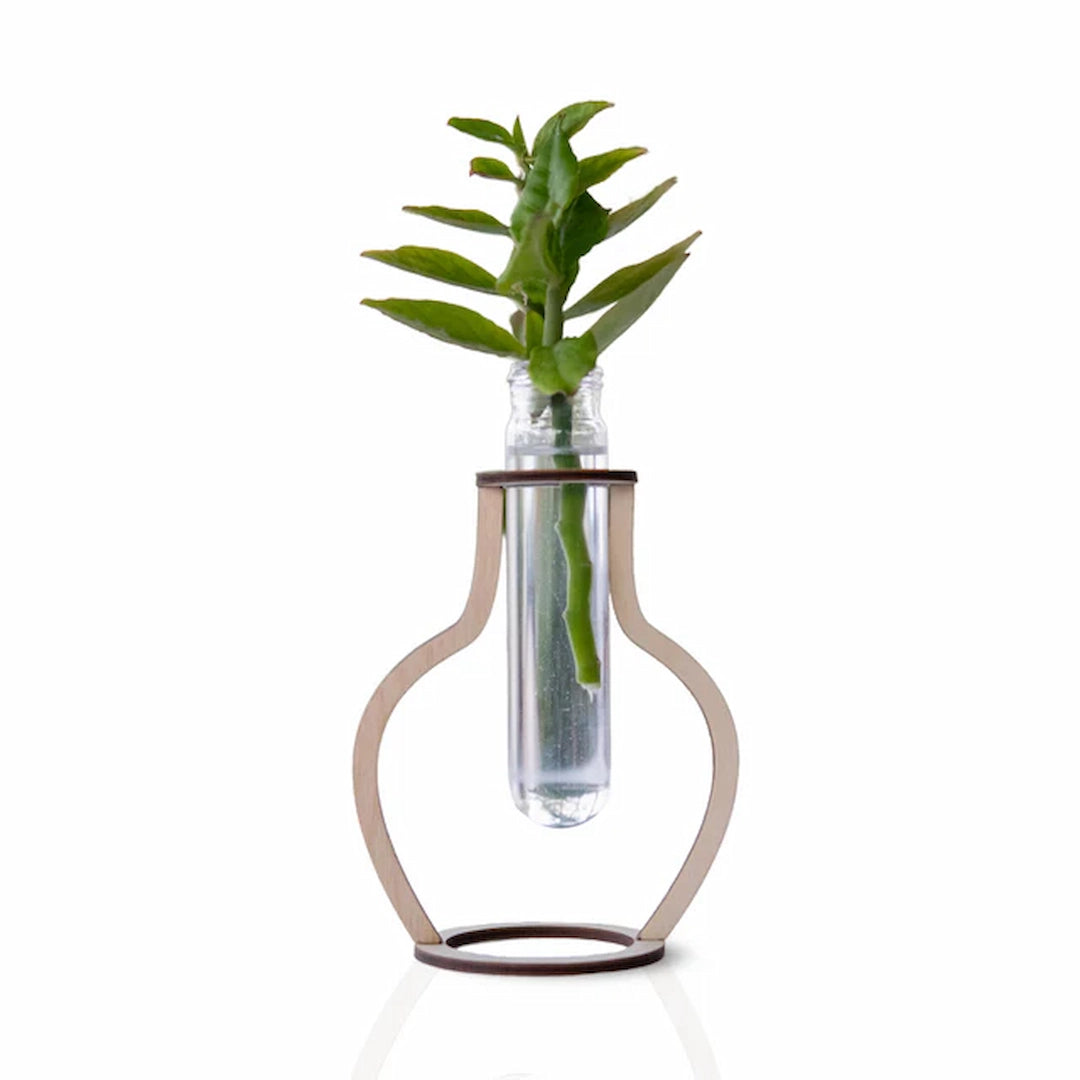 plant-stand-for-water-plants.webp