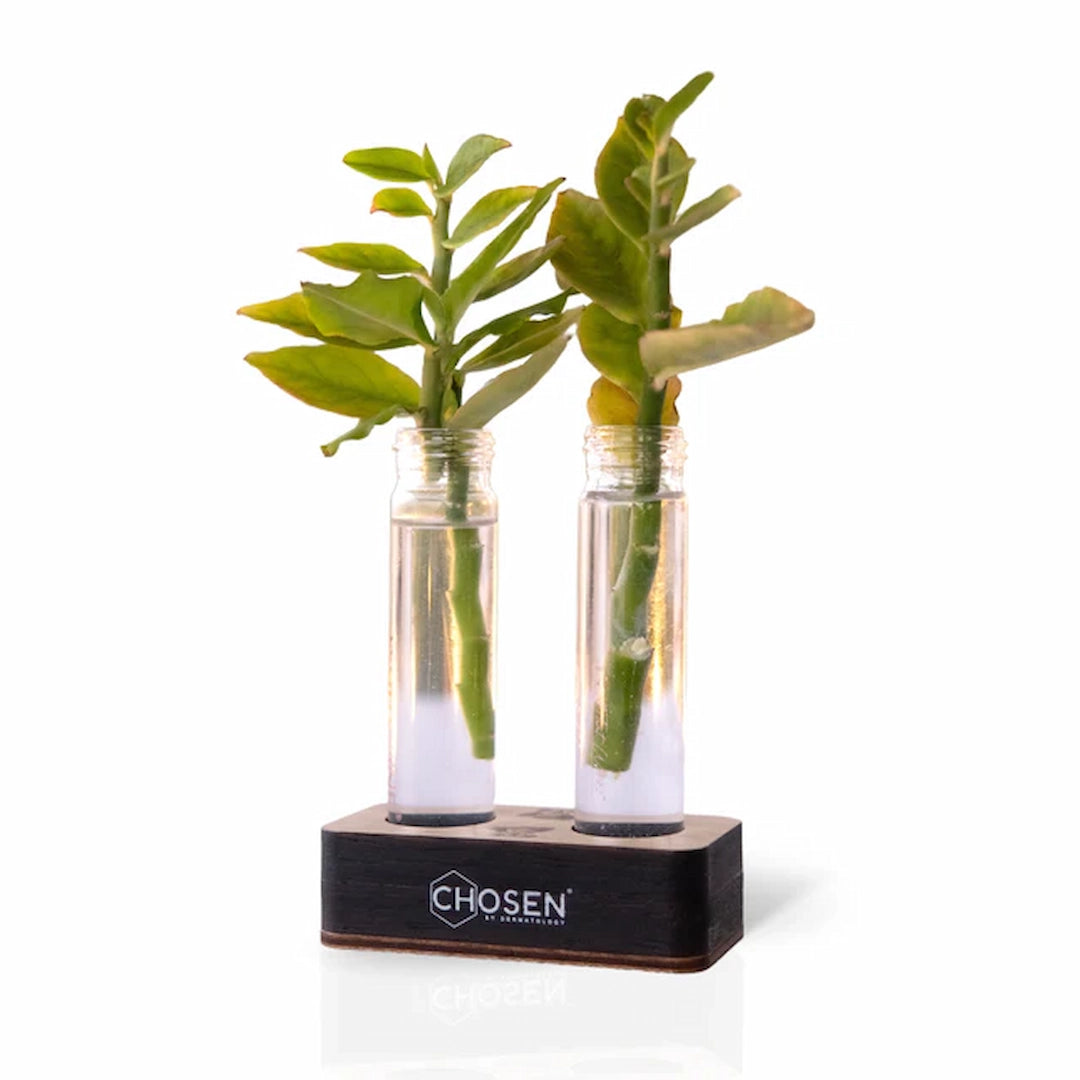 plant-stand.webp